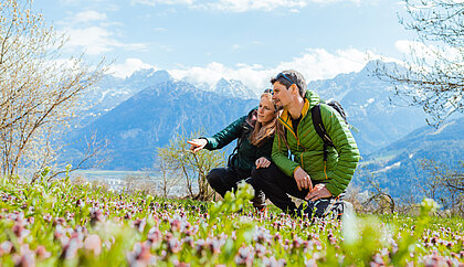 (c) TVB Osttirol / Elias Bachmann - Frühling in Osttirol