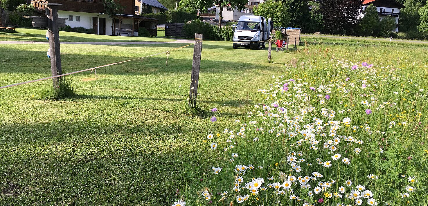 Camping Tiefental - Roppnerhof