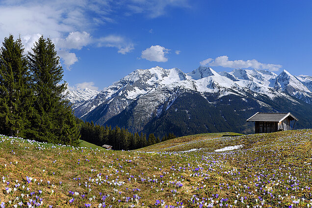 Lämmerbichl (c) Tirol Werbung Sürth Paul