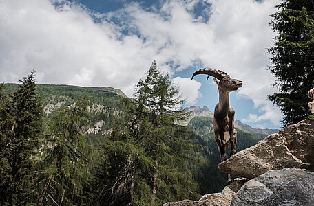 St. Leonhard im Pitztal (c) Tourismusverband Pitztal/Thomas Schrott