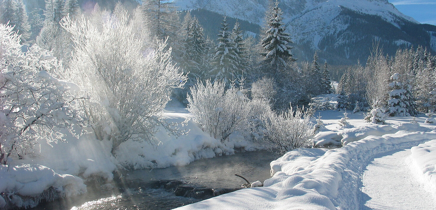 Alpencamp Marienberg